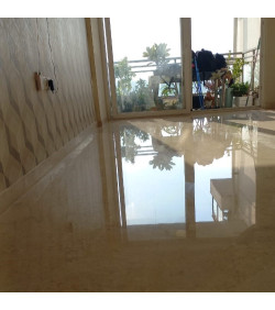 Floor Polishing Services